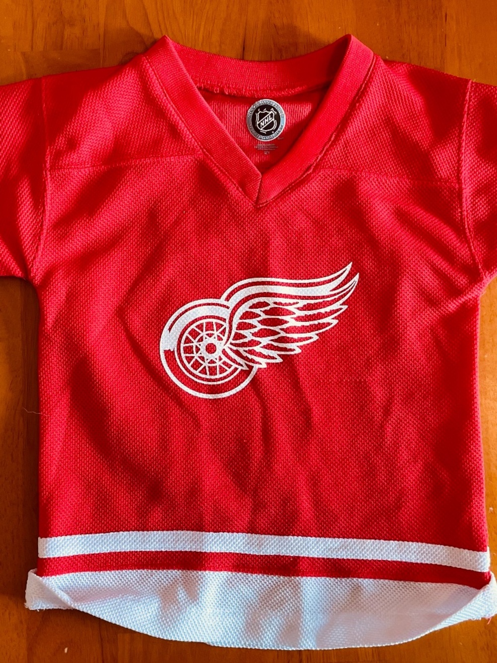 2T Red Wings Jersey Datsyuk 13
